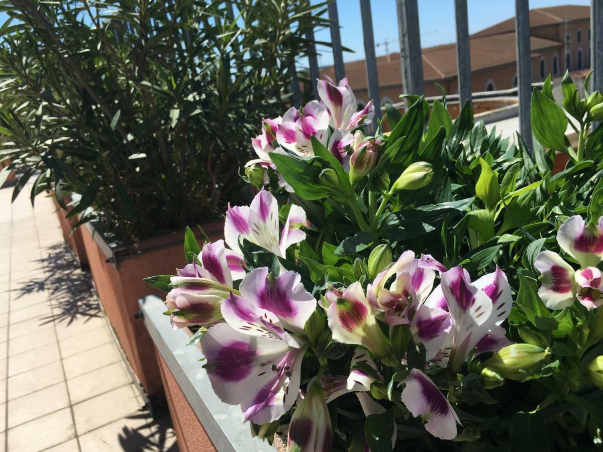 B&B Colombo Pisa Eksteriør bilde
